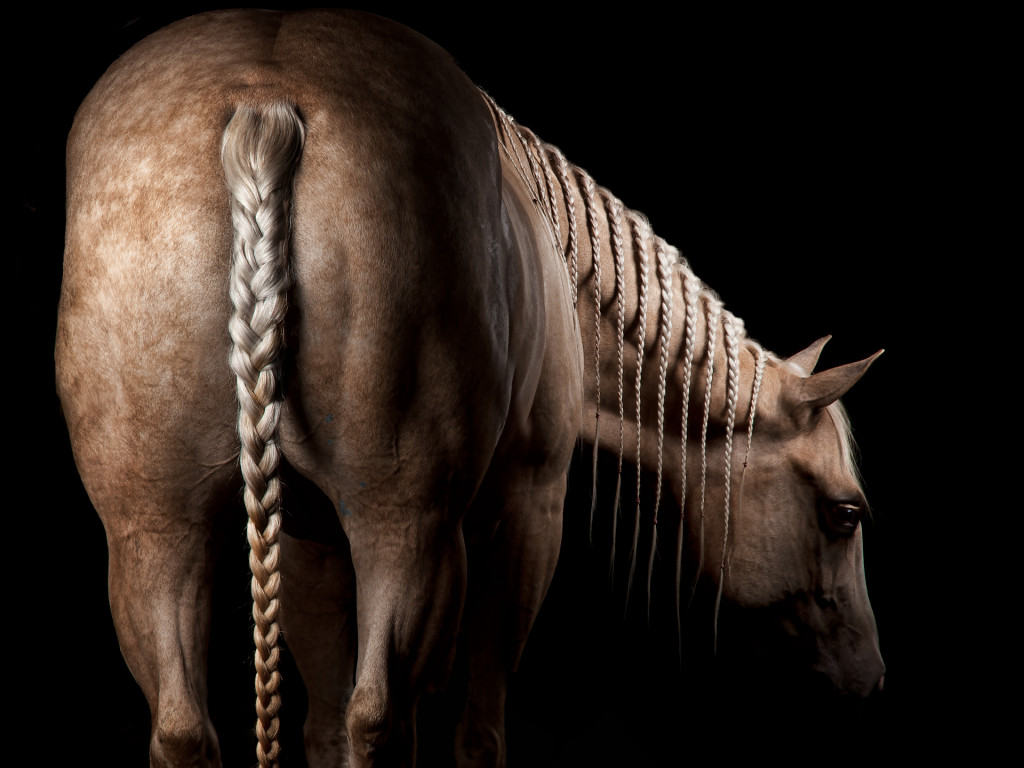 Braided-Horse1