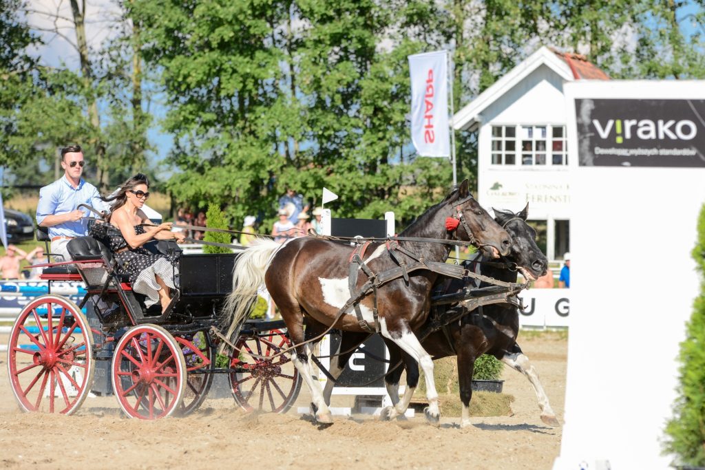 Want Have It Gałkowo Masters 2016