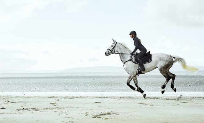 Siwy koń biegnący po plaży z jeźdźcem w granatowym stroju