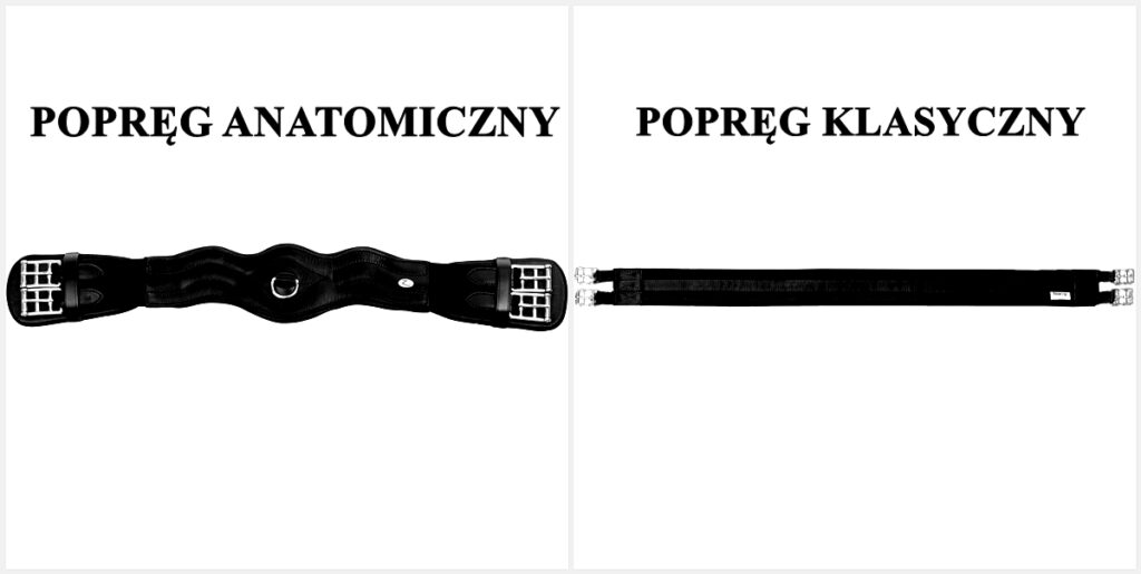 Popreg-anatomiczny-vs-klasyczny-1